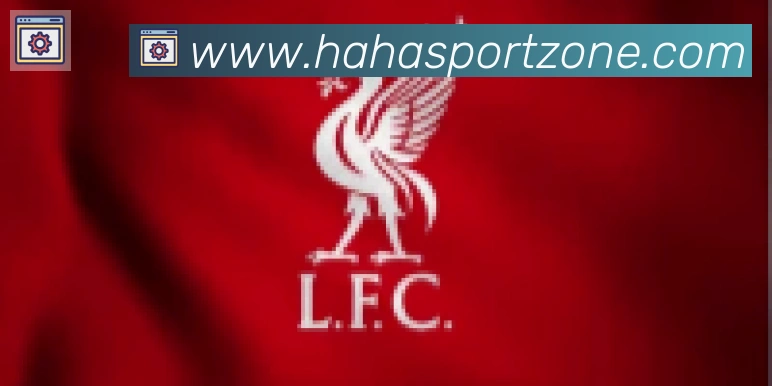 哈哈体育合作伙伴